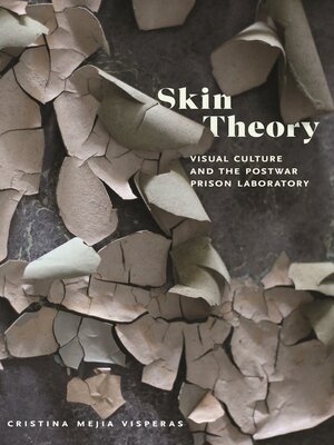 cover image of Skin Theory